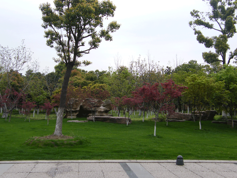 常州绿化工程项目