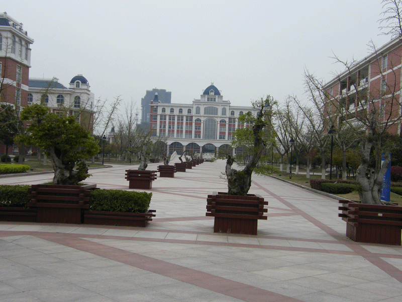 常州绿化养护工程项目