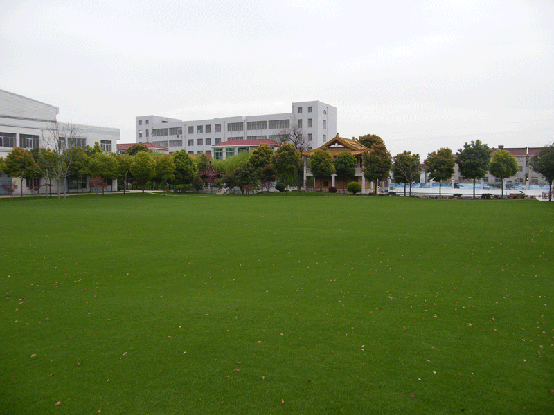 常州绿化养护工程项目